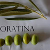Coratina (UP) Extra Virgin Olive Oil - Robust Intensity