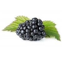 Blackberry Ginger Dark Balsamic