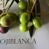 "Melgarejo" Hojiblanca UP Extra Virgin Olive Oil -Robust Intensity